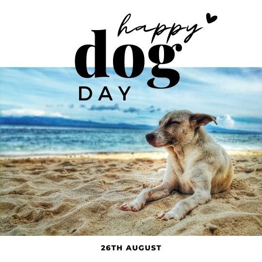 National Dog Day 2024 Images and quotes to celebrate