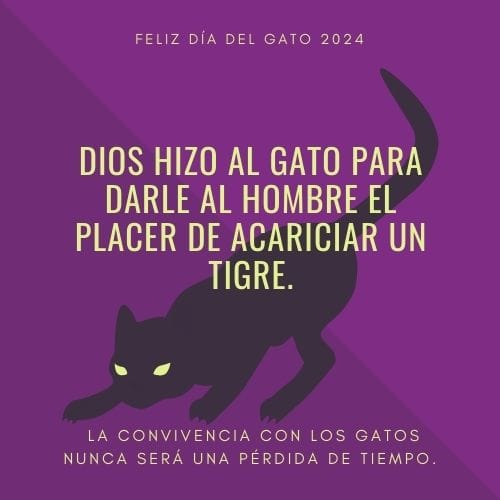 FELIZ DÍA DEL GATO