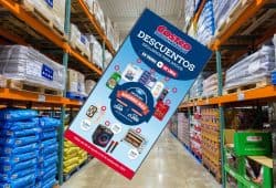 Cuponera de Costco del 28 de agosto al 22 de septiembre: Las mejores ofertas te esperan Foto: Especial