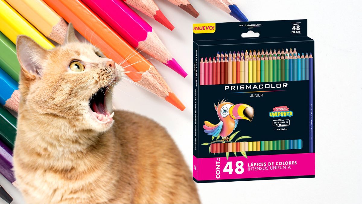 descuento prismacolor 48 lapices de colores amazon