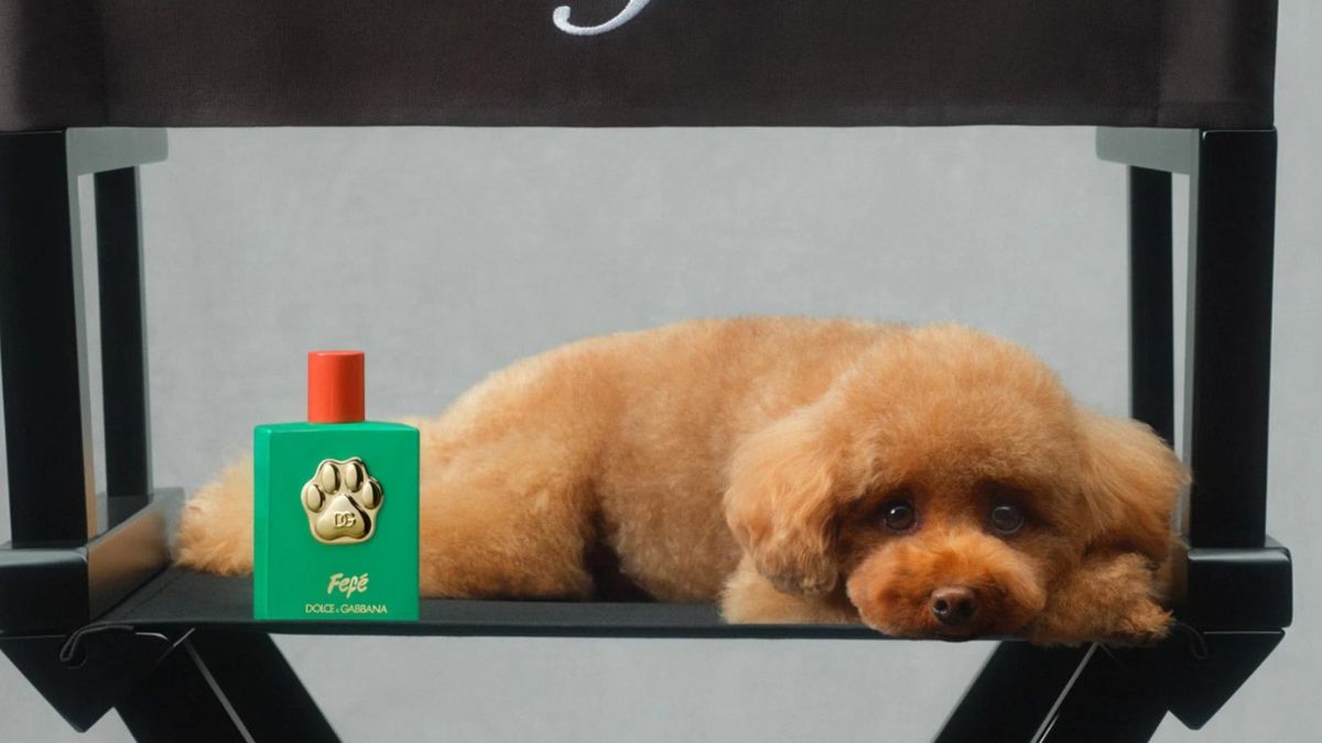 FEFÉ, PERFUME PARA PERROS. FOTO: CORTESÍA DOLCE & GABANNA