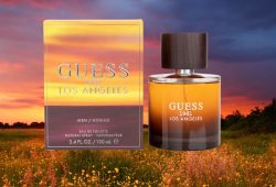 Fragancia Guess 1981 Los Angeles a un precio irresistible en Amazon Foto: Canva