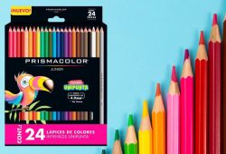 lápices de colores prismacolor junior 24