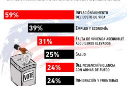 Gráfica del día: Temas clave para los latinos en las elecciones de EE.UU.