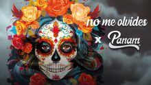 Tenis Panam Día de Muertos 2024 se lanzarán este 27 de Septiembre Foto: Panam