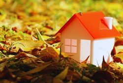 Prepárate para el otoño: Los consejos de RE/MAX para tu hogar Foto. Especial