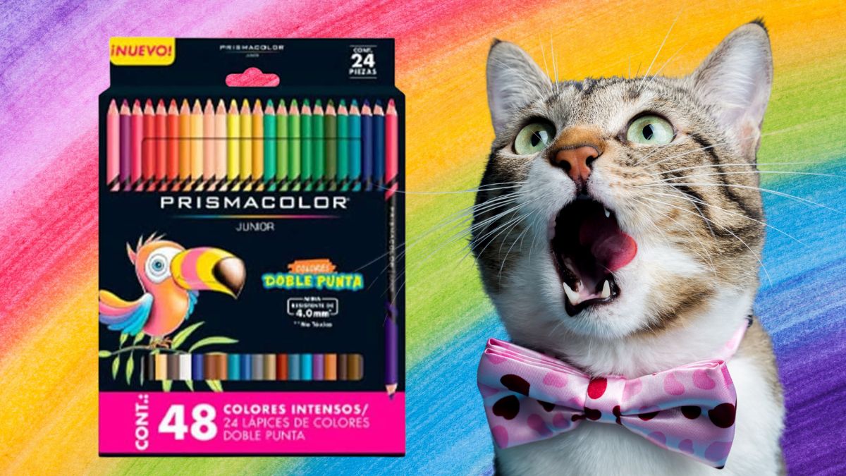 prismacolor junior 48 dual doble punta