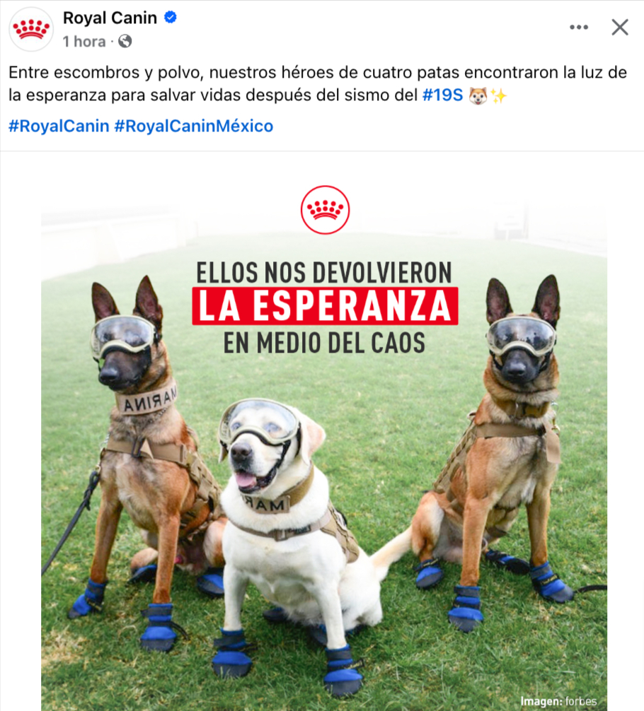 royal canin binomios