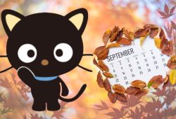 sanrio choco cat septiembre calendario 2024