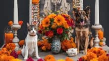 DIA DE LOS MUERTOS DAY OF DEAD PETS DOGS CATS 2024