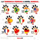 Gráfica del día: La tendencia perruna a nivel mundial