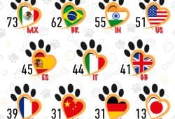 Gráfica del día: La tendencia perruna a nivel mundial