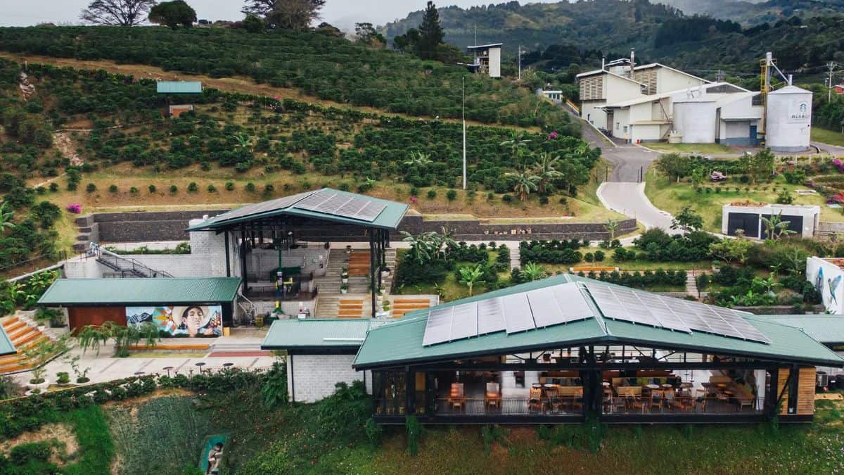 HACIENDA ALSACIA STARBUCKS