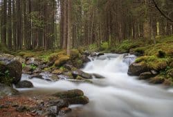 Mujer descubre de dónde viene el agua de San Pellegrino