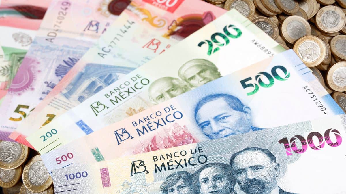 billetes pesos mexicanos 2024 programa social bienestar