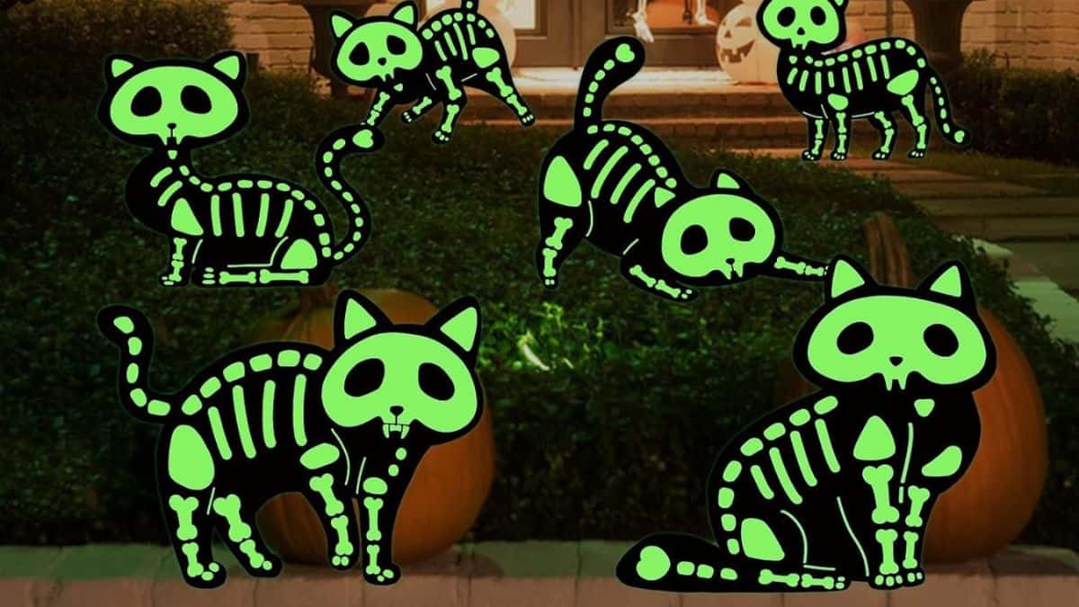 esqueletos de halloween decoración exterior amazon 2024