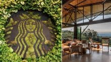 HACIENDA ALSACIA STARBUCKS