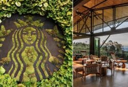 HACIENDA ALSACIA STARBUCKS