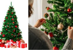 ARBOL DE NAVIDAD AMAZON 529 2024