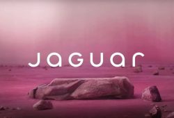 Jaguar rebranding