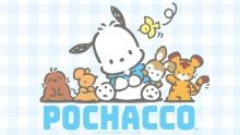 sanrio POCHACCO 1200 2024