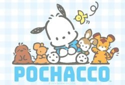 sanrio POCHACCO 1200 2024