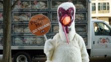 Turkey abuse at Butterball 2024? 5 key facts to understand the case and PETA's campaign