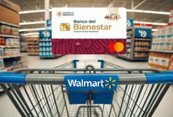 WALMART BODEGA AURRERA EL FIN IRRESISTIBLE TARJETA DEL BIENESTAR 2024