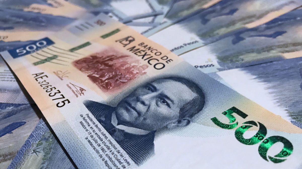 billetes pesos mexicanos paquete económico 2025 presupuesto egresos