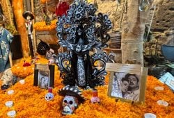 Así es el recorrido turístico de San Ángel por Día de Muertos 2024 ¡No te lo pierdas! Foto: Antonio Miranda