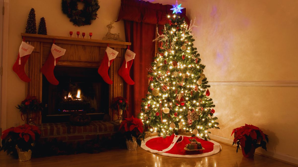 Consejos de RE/MAX para decorar espacios pequeños esta Navidad ¡Haz que brillen! Foto: Especial