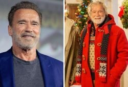 Arnold Schwarzenegger becomes Santa Claus! Will there be a new movie?