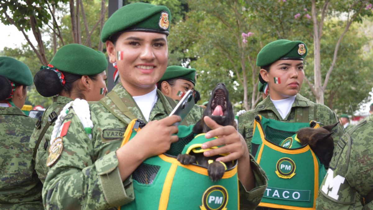 EJERCITO MEXICANO MILITARES MEXICANOS 2025 PROMOCIÓN COSTCO