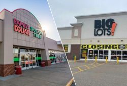 From Family Dollar to Big Lots: store closings in 2024