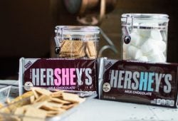 HERSHEY CANVA 2025 MONDELEZ