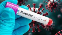 Norovirus 2024: what is it and what are the symptoms of the infection that is causing alert in the USA?