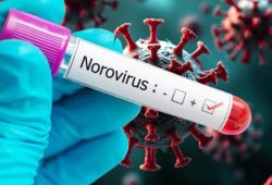 Norovirus 2024: what is it and what are the symptoms of the infection that is causing alert in the USA?