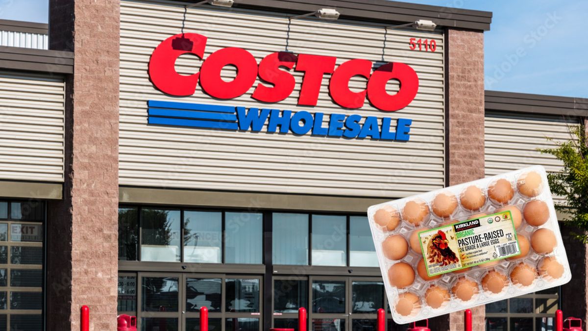 Tras retiro de huevos de Costco por salmonela, elevan riesgo de infección al nivel más alto