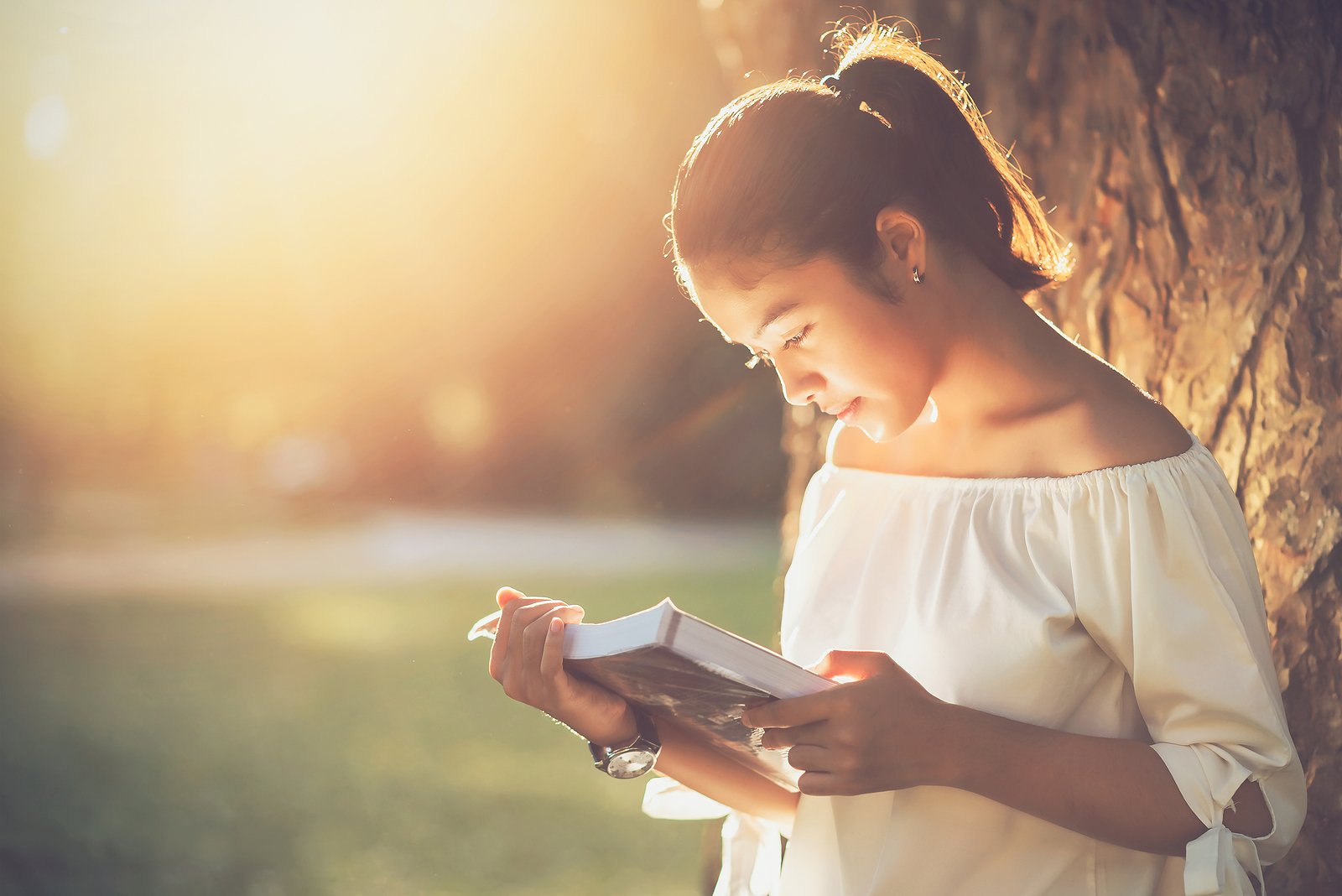 Libro del día: The Battle for Your Mind