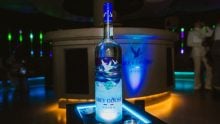 Grey Goose Night Vision: La botella inspirada en las auroras boreales que ilumina cada brindis Foto: Especial