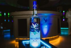 Grey Goose Night Vision: La botella inspirada en las auroras boreales que ilumina cada brindis Foto: Especial