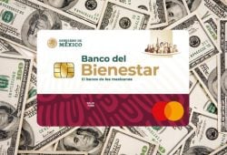 Calendario de registro Pensión del Bienestar febrero 2025. Checa los días Foto: Especial