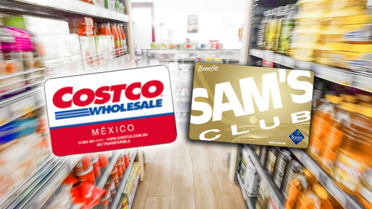 Sam's Club vs Costco: who is who according to Statista benchmarking