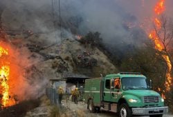 Fires in California: what's happening on Hollywood Boulevard? We know this today UPDATE