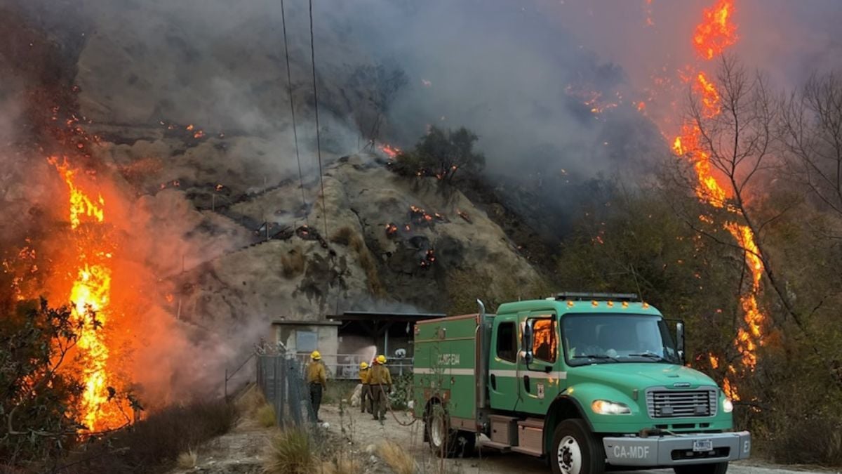 Fires in California: what's happening on Hollywood Boulevard? We know this today UPDATE