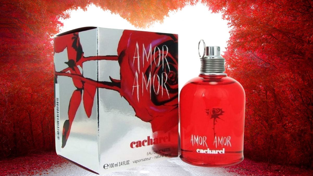 Perfume Amor Amor de Cacharel: El regalo ideal en oferta por San Valentín 2025 Foto: Especial 