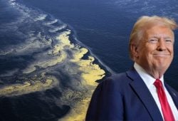 ¿Por qué se llama Golfo de México y por qué Donald Trump quiere cambiar su nombre? El origen de su polémica propuesta