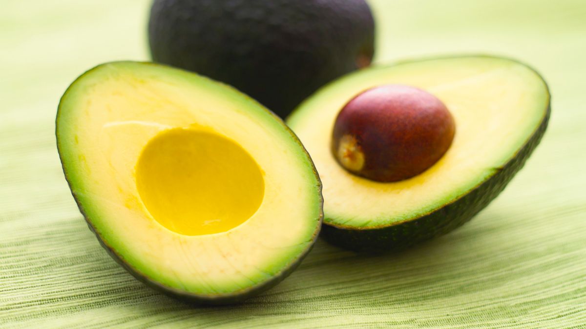 AVOCADO MEXICAN MEXICO PRICES 2025 CANVA