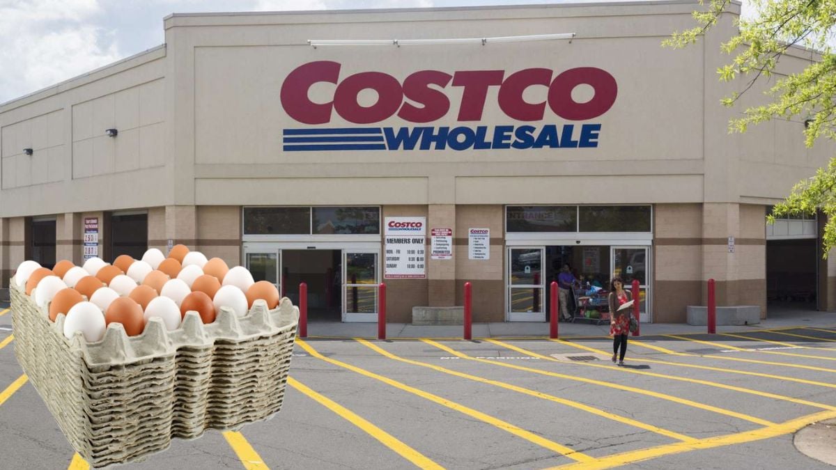 Costco announces new rule for purchasing eggs! We tell you what it is about