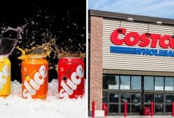 Costco will sell Slice soda again! Check from when